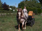 Promenade en attelage avec Morgane du Rozel (Trait breton)